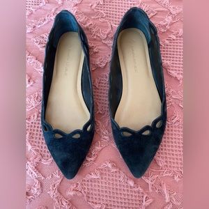 Banana Republic Pointed Toe Suede flats Size 6
